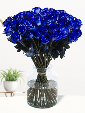 Blaue Rosen Blaue Rosen