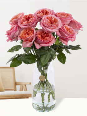 10 Rosa Rosen aus Ecuador 10