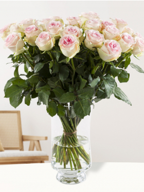 30 Zart-Rosa Rosen Sweet Revival 30