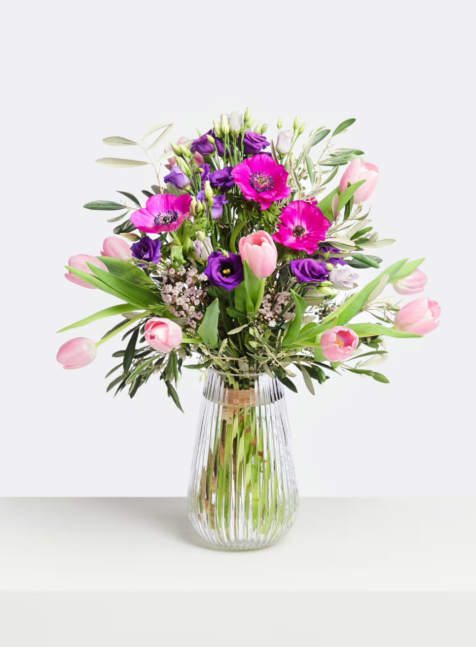 Optimistin Tulpen Optimistin