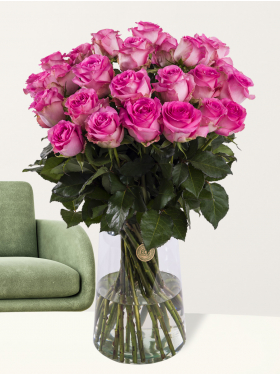 Pinke Rosen - Revival Pinke
