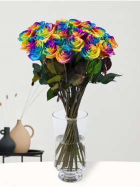 20 Regenbogen Rosen 20
