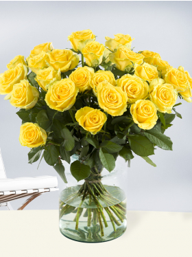 Gelbe Rosen Gelbe