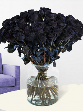 Schwarze Rosen Schwarze