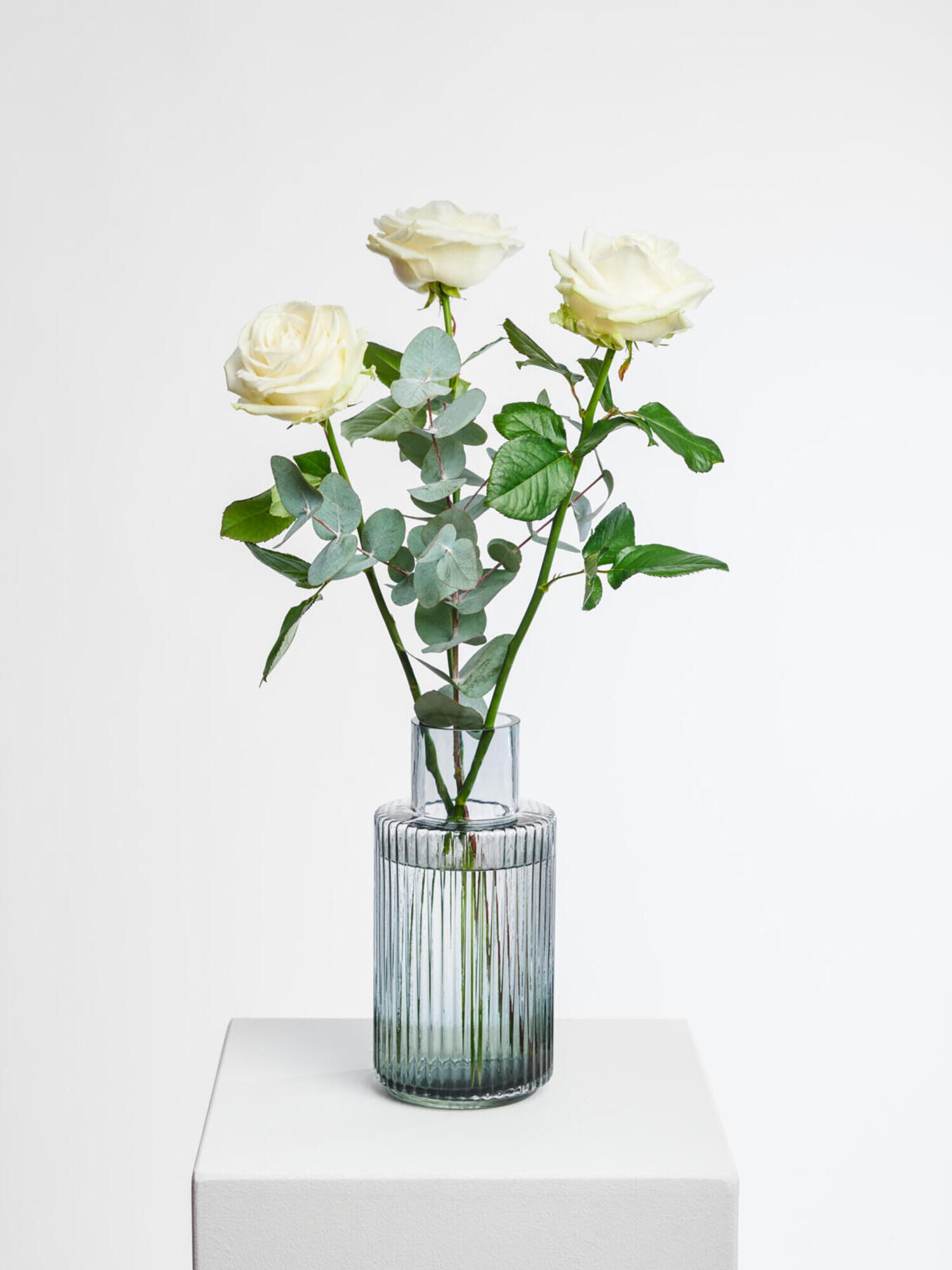 White Roses White