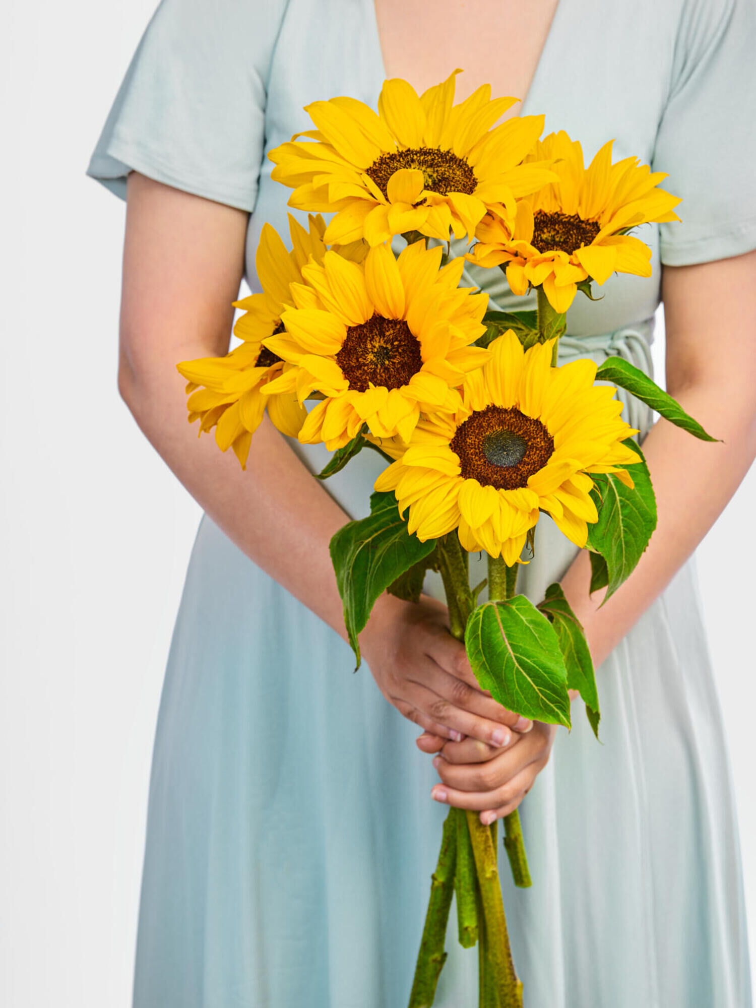 Sunflowers Sunflowerse"
