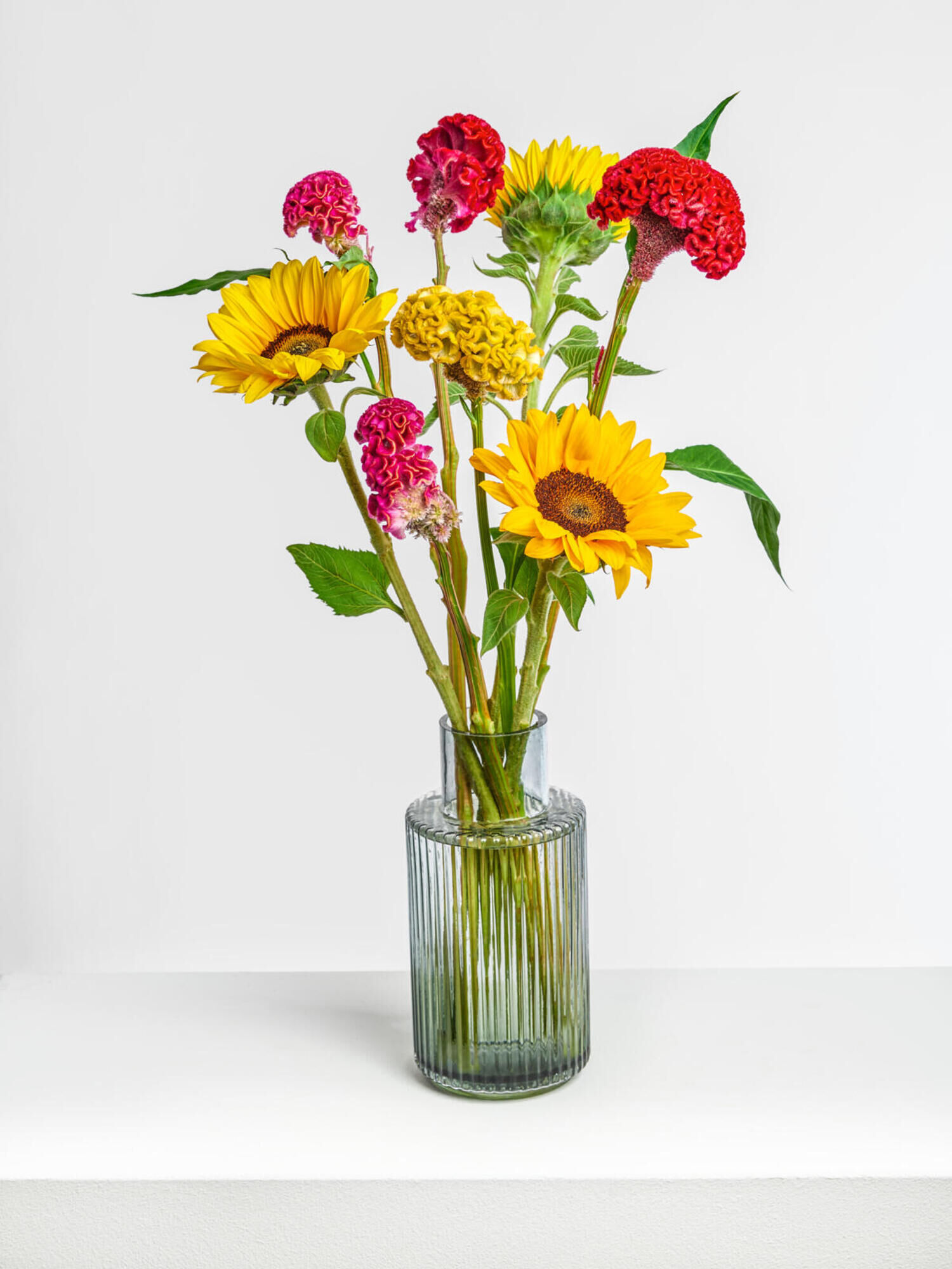 Sunflower & Celosia Sunflower