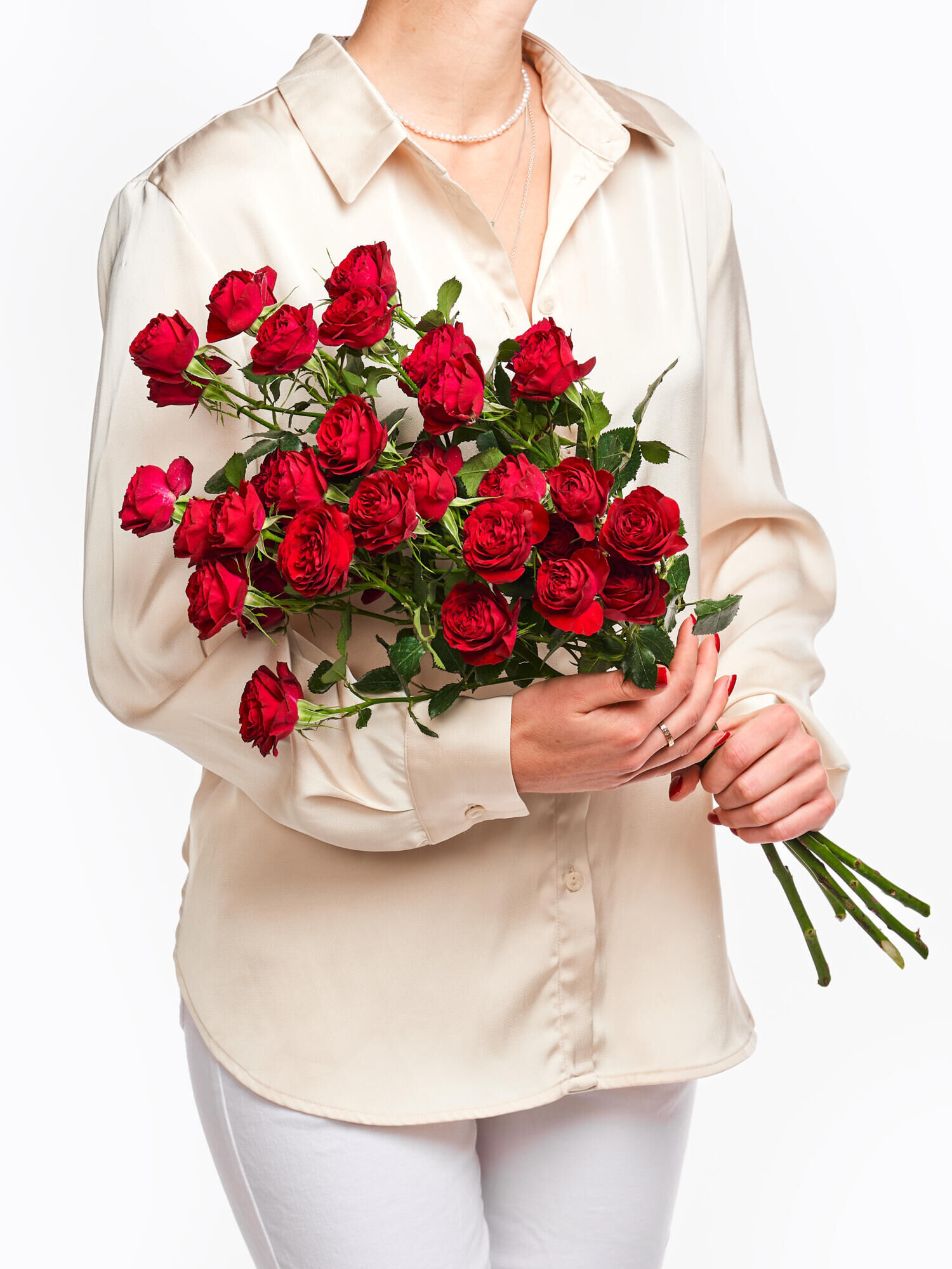 Scarlet Roses Scarlet