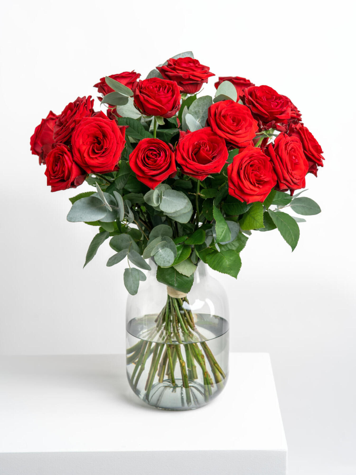 Rosenträume Rosenträume