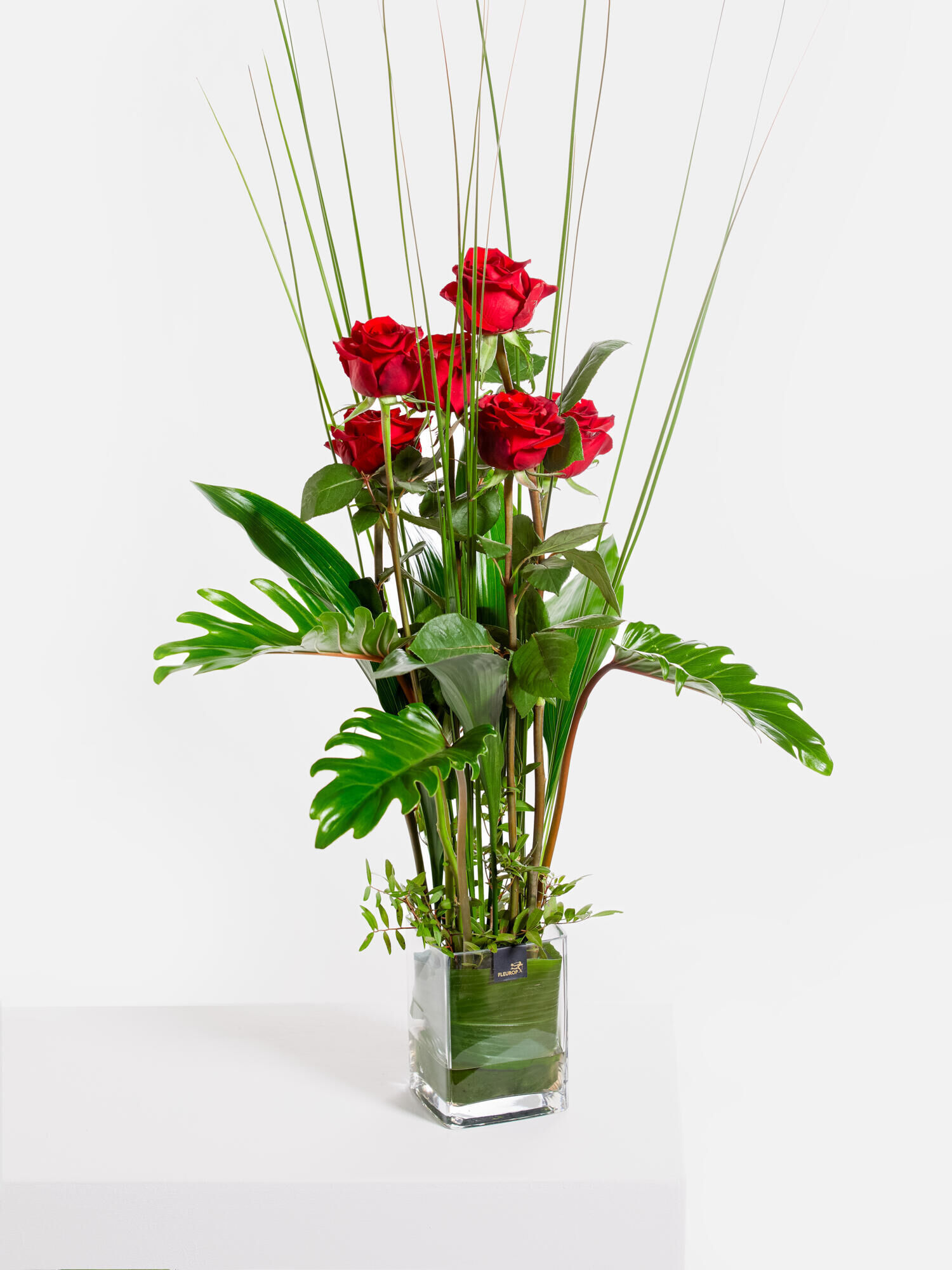 Rosenflammen Rosenflammene"