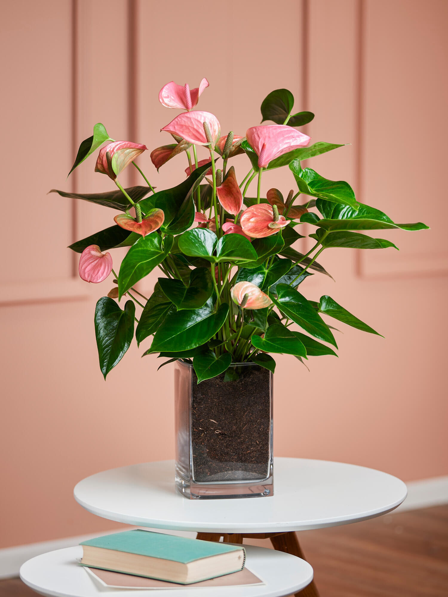 Flamingoblume in Pink-Rosa mit Vase Flamingoblume