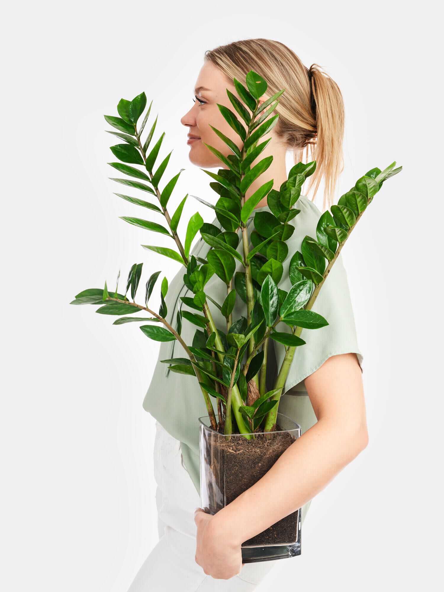 Glücksfeder in Vase Glücksfeder