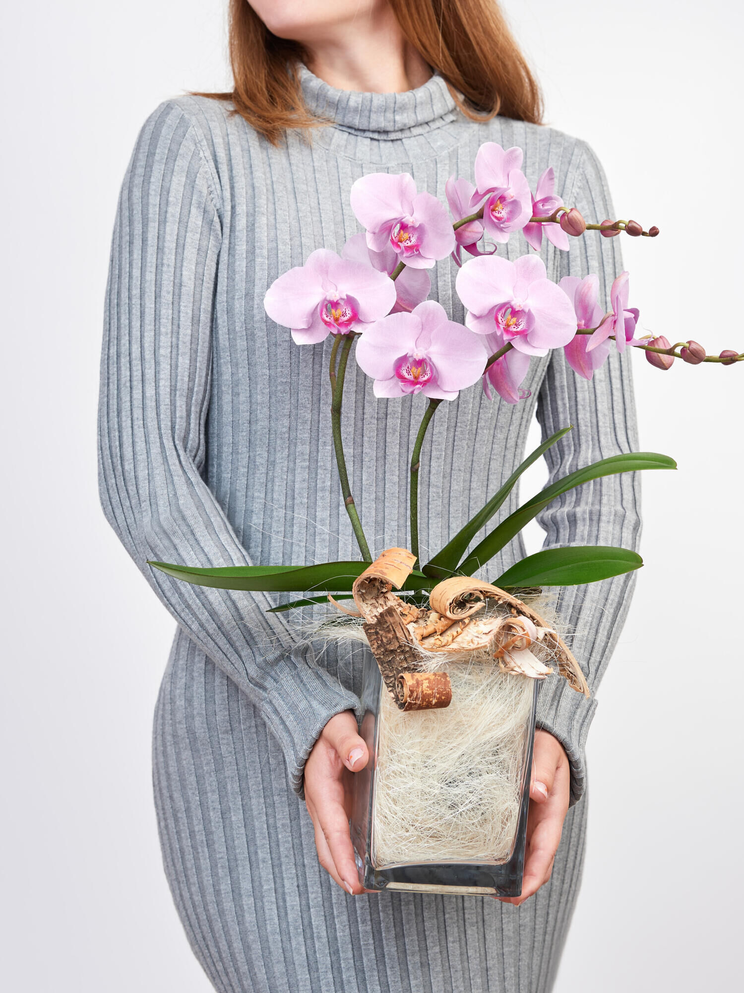 Pinke Orchidee in Vase mit Flachs Pinke