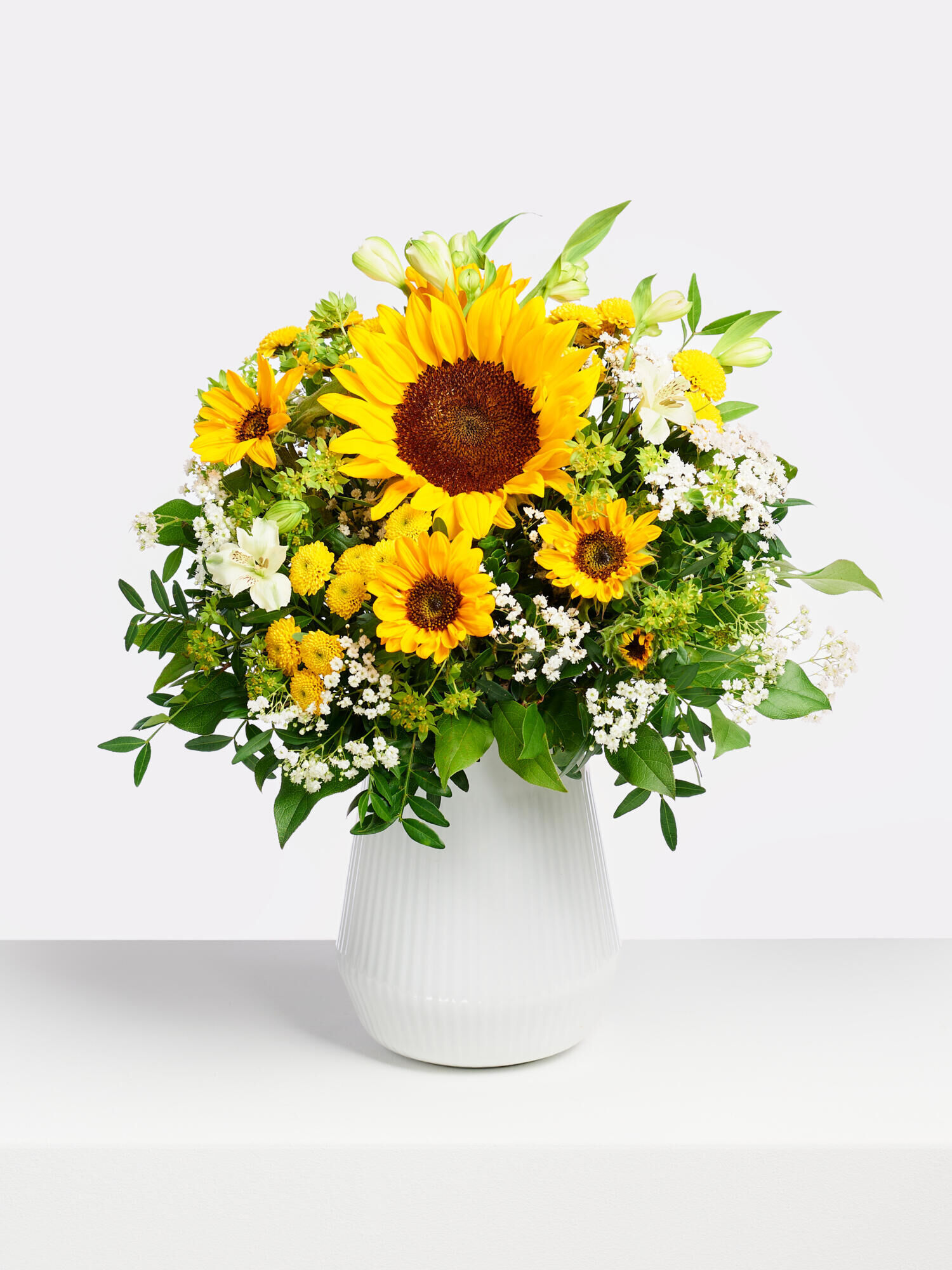Sunflower Power Sunflower