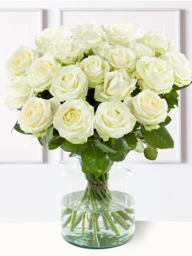 Weiße Rosen Weiße