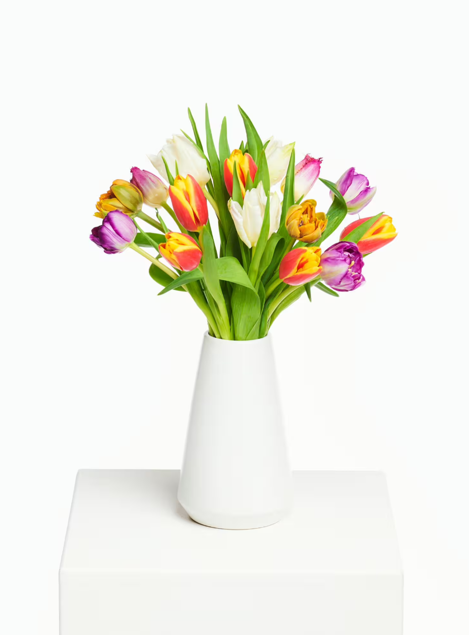 Colourful Tulpen Colourful