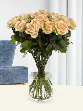 Apricot Rosen Apricot