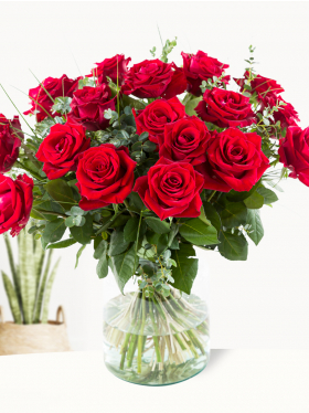 20 Rote Rosen mit Eukalyptus - EverRed 20