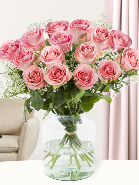 15 Rosa Rosen mit Schleierkraut - Hermosa 15