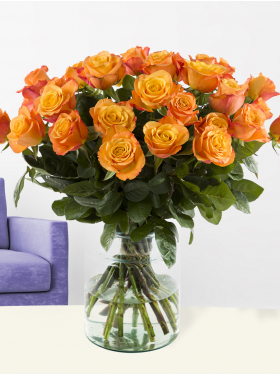 Orange Rosen Orange