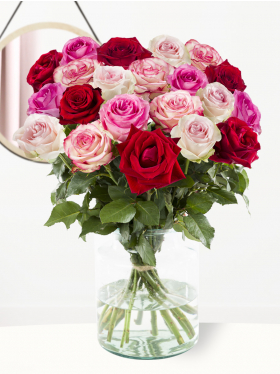 Rosa Roter Rosenmix Rosa
